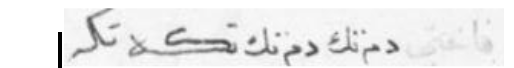 الفاختي من راح الجام
